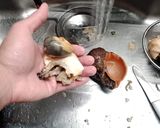 赤西貝の活造り作り方5写真