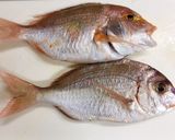 ★鯛の昆布じめ(富山の郷土料理)作り方2写真