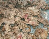 レンジで時短牛肉と里芋の甘辛しょうが焼き作り方3写真