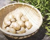 【夏の保存食】ハニージンジャーシロップ作り方1写真