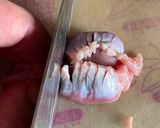 俺流！柔らか砂肝の南蛮漬け作り方5写真