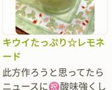 キウイたっぷり☆レモネード作り方10写真