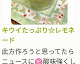 キウイたっぷり☆レモネード作り方10写真