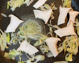 エリンギと納豆の冷製和風パスタ作り方4写真