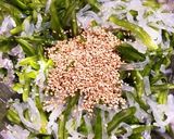 余った味付け稲荷の皮でササゲ豆の煮付け！作り方5写真