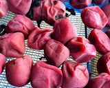減塩　我が家の梅干し作り方9写真