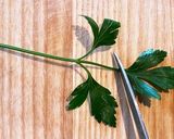 花柄の茹で卵トースト〜(๑╹◡╹)ノ"作り方6写真