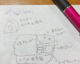 高校1年女子お弁当♡2020.08.06作り方8写真