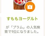 すもも(プルーン)ヨーグルト作り方9写真