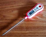 低温調理器で牛肉ステーキのタリアータ作り方16写真