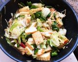 簡単ヘルシー☆油不使用の絹厚揚げ回鍋肉風作り方9写真