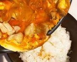 柔らか☆行列ができそうな親子丼作り方9写真