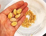 贅沢かぼちゃプリン専用☆かぼちゃの下処理作り方17写真