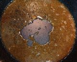 漬込み不要！鶏もも肉の甘辛ガーリック焼き作り方10写真