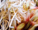 みょうが香るもやし炒め作り方1写真