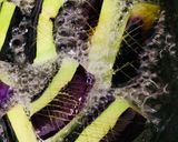 超簡単失敗なしの茄子の揚げ浸し作り方3写真