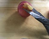 スモモの種取りと皮剥き作り方5写真
