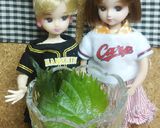 リカちゃん♡鯉の洗いサラダ ᗦ↞◃作り方8写真