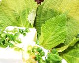 シソの葉の保存方法作り方4写真