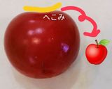 目から鱗(°д°)ミニトマトdeりんご作り方3写真