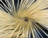 超簡単激うまペペロンチーノ作り方4写真