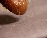 すっきり爽やか！ ハッカ飴作り方4写真