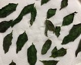 バジルをレンジでドライハーブに簡単保存作り方2写真
