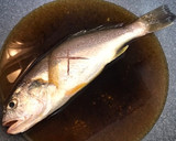 簡単！いしもちの煮付け作り方3写真