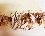 町中華の味! 豚肉ときくらげの卵炒め作り方6写真