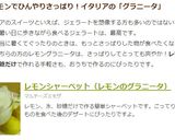 レモンシャーベット（レモンのグラニータ）作り方8写真
