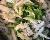 マジスパの素を使ってソトアヤムを作ろう作り方19写真