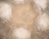 簡単☆美味しい☆煮卵作り方1写真