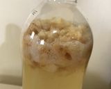 りんごの芯で♬天然酵母作り方12写真