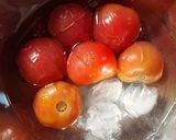 はちみつトマトのシソゼリー作り方3写真