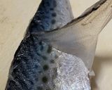 【基本】しめ鯖の作り方作り方9写真