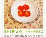目から鱗(°д°)ミニトマトdeりんご作り方11写真