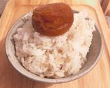 てぃんさんちの梅干し(9%蜂蜜)作り方14写真