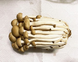 長持ちのコツ☆きのこの冷蔵保存(種類別)作り方1写真