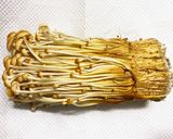 長持ちのコツ☆きのこの冷蔵保存(種類別)作り方8写真