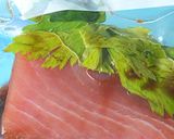 初めての味！マグロのコンフィ（低温調理）作り方1写真