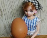 リカちゃん♡小鮎の柳川鍋風