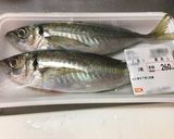 アジの捌き方(3枚おろし)作り方1写真