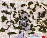 爽やかな香り 大葉のドライふりかけ作り方5写真