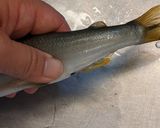 愛知の魚100 鮎の塩焼き作り方4写真