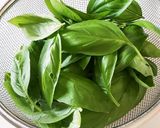 バジル大量消費 乾燥バジルの作り方作り方1写真