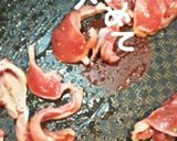 砂肝とねぎ炒め作り方4写真