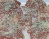 バジル風味鶏モモ焼き作り方1写真