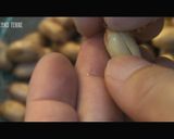 花生湯 ピーナッツスープ【台湾スイーツ】作り方2写真