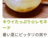 キウイたっぷり☆レモネード作り方13写真