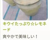 キウイたっぷり☆レモネード作り方14写真